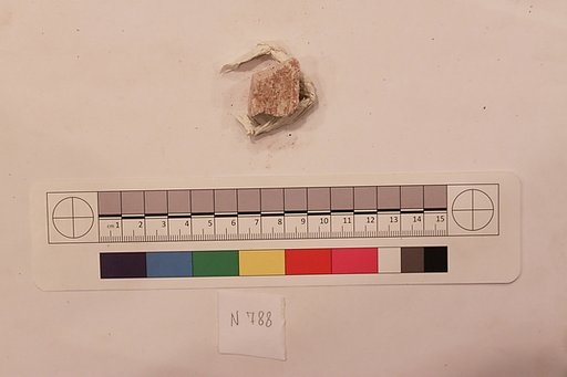 Stucco Fragment