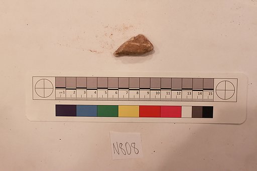 Stucco Fragment
