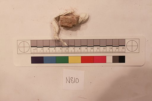 Stucco Fragment