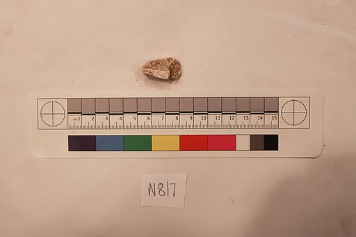 Stucco Fragment