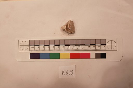 Stucco Fragment