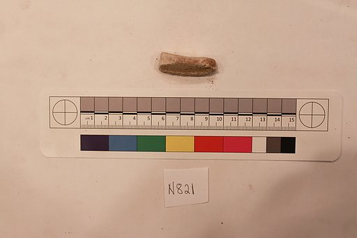 Stucco Fragment