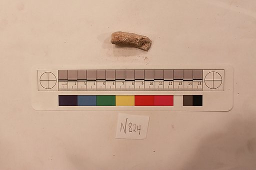 Stucco Fragment