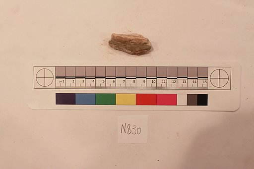 Stucco Fragment