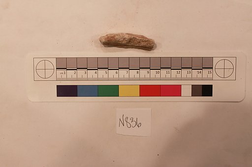 Stucco Fragment