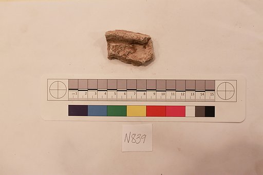 Stucco Fragment