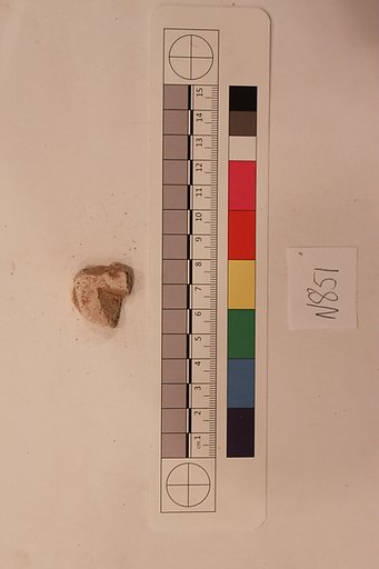 Stucco Fragment