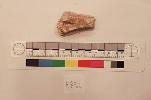 Stucco Fragment