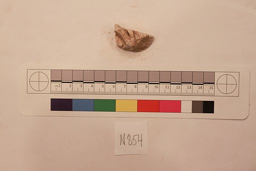 Stucco Fragment