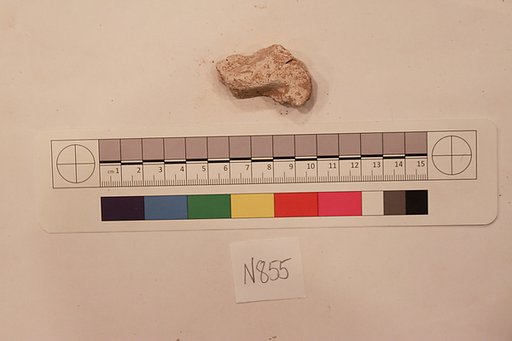 Stucco Fragment