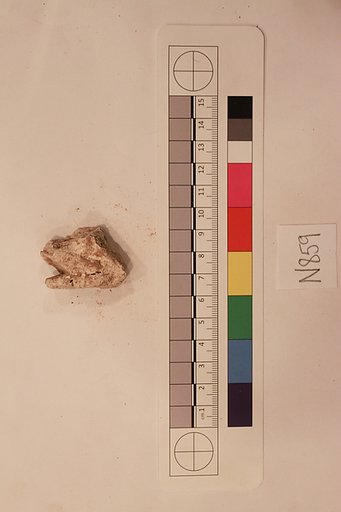 Stucco Fragment
