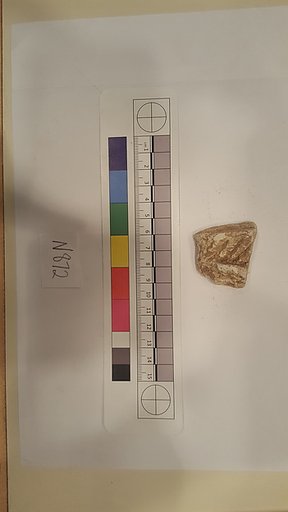 Stucco Fragment