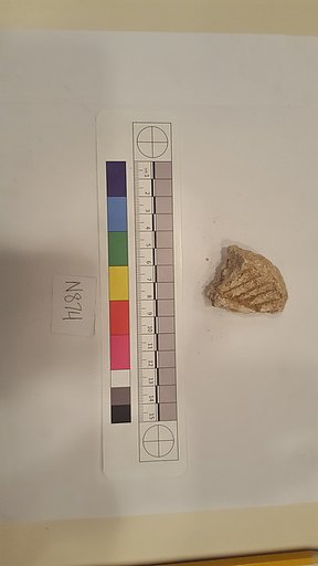 Stucco Fragment
