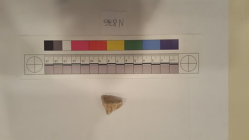 Stucco Fragment