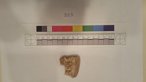Stucco Fragment