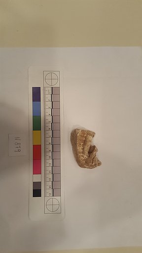 Stucco Fragment