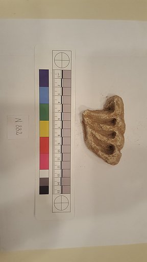 Stucco Fragment