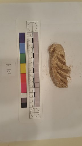 Stucco Fragment