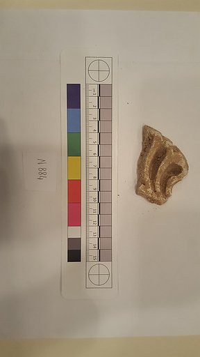 Stucco Fragment