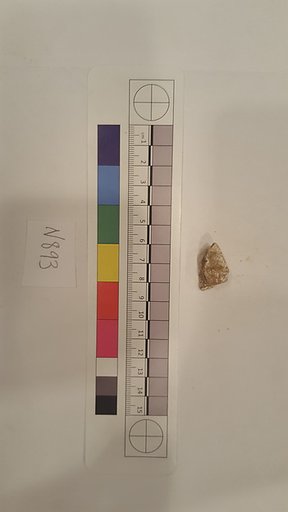 Stucco Fragment