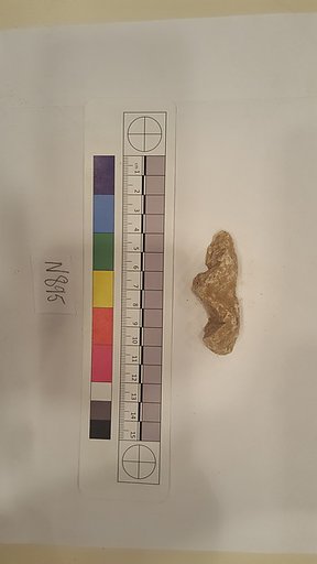 Stucco Fragment