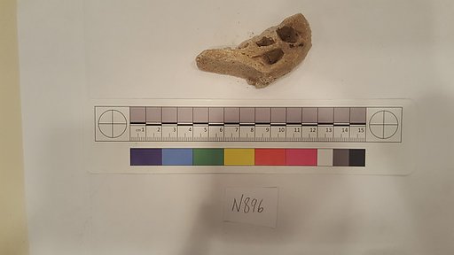 Stucco Fragment