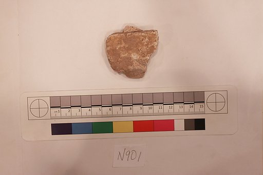 Stucco Fragment