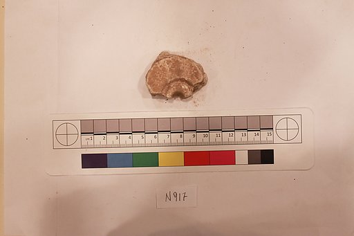 Stucco Fragment
