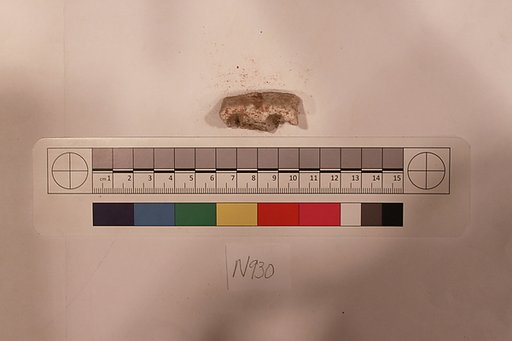 Stucco Fragment