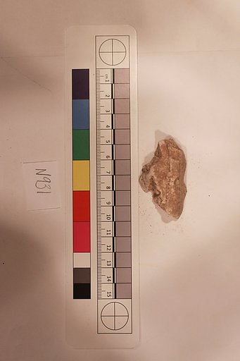 Stucco Fragment