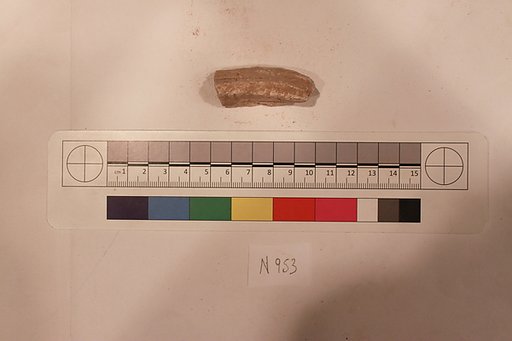 Stucco Fragment