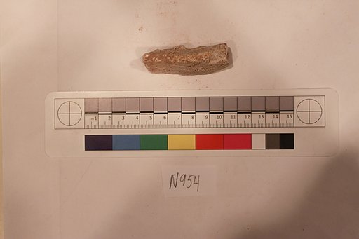 Stucco Fragment