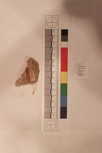 Stucco Fragment