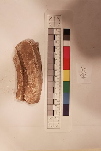 Stucco Fragment