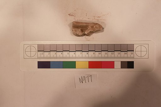 Stucco Fragment