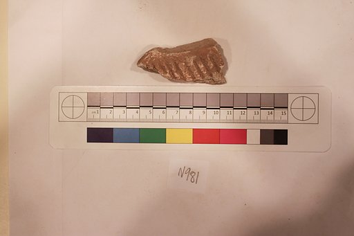 Stucco Fragment