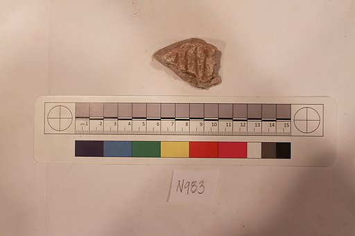 Stucco Fragment