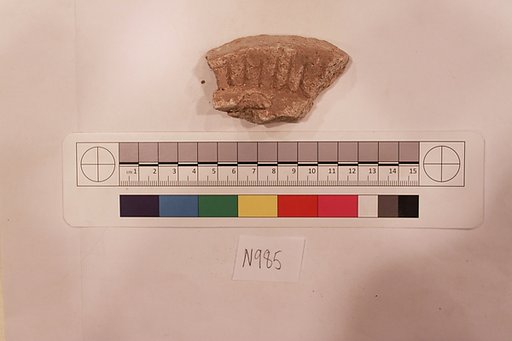 Stucco Fragment