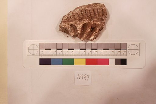 Stucco Fragment