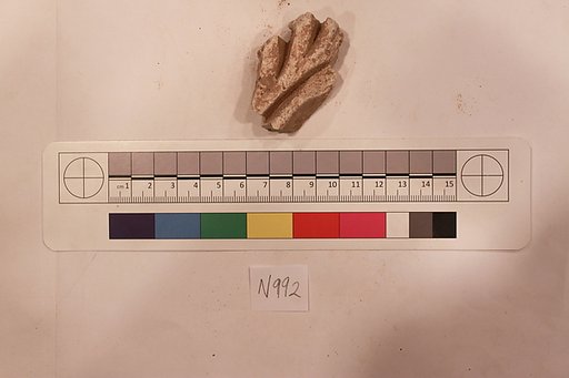Stucco Fragment