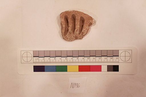 Stucco Fragment