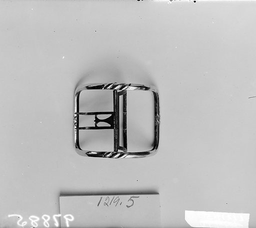 Shoe Buckle