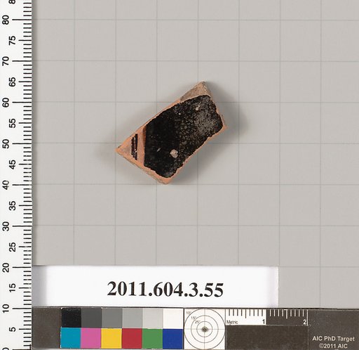 Terracotta fragment of an amphora (jar)?