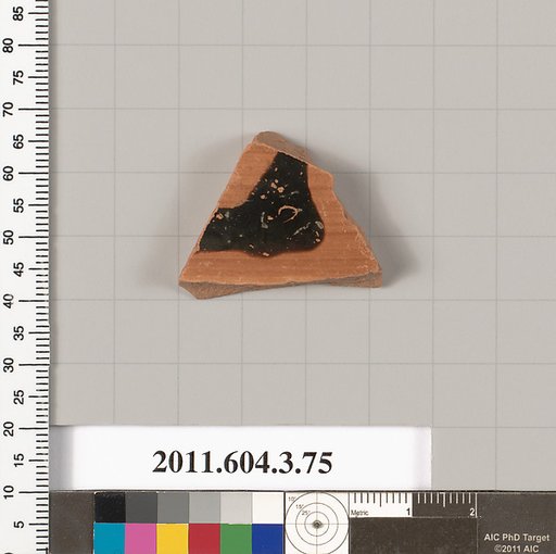 Terracotta fragment of an amphora (jar)
