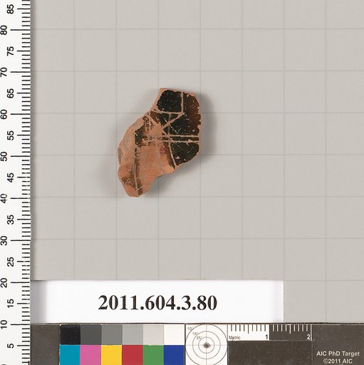Terracotta fragment of an amphora (jar)
