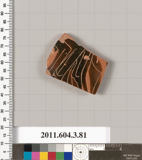 Terracotta fragment of an amphora (jar)