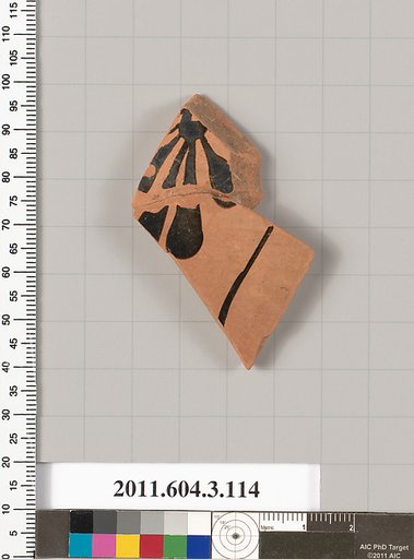 Terracotta fragment of an amphora (jar)