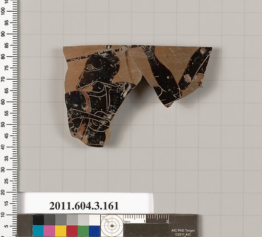 Terracotta fragment of an amphora (jar)