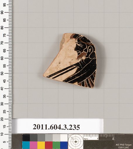 Terracotta fragment of a neck-amphora (jar)?