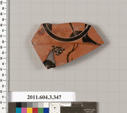 Terracotta fragment of a neck-amphora (jar)